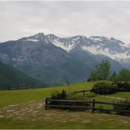 La Stella Alpina *